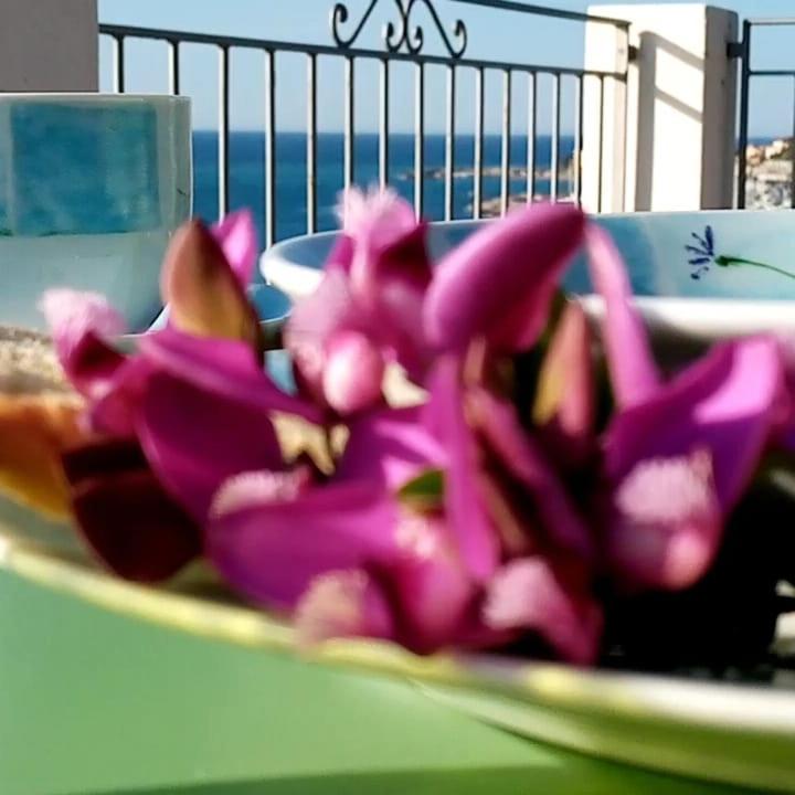 אימפריה Agriturismo La Tuffatrice מראה חיצוני תמונה